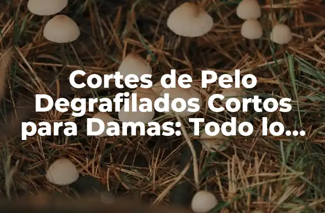 Cortes de Pelo Degrafilados Cortos para Damas: Todo Lo que Necesitas Saber