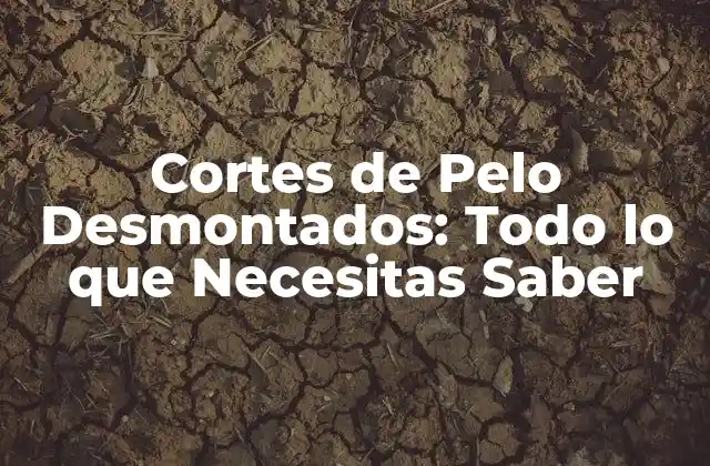 Cortes de Pelo Desmontados: Todo Lo que Necesitas Saber