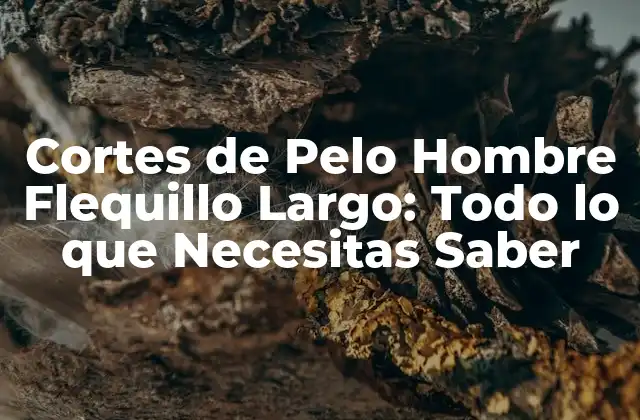 Cortes de Pelo Hombre Flequillo Largo: Todo Lo que Necesitas Saber