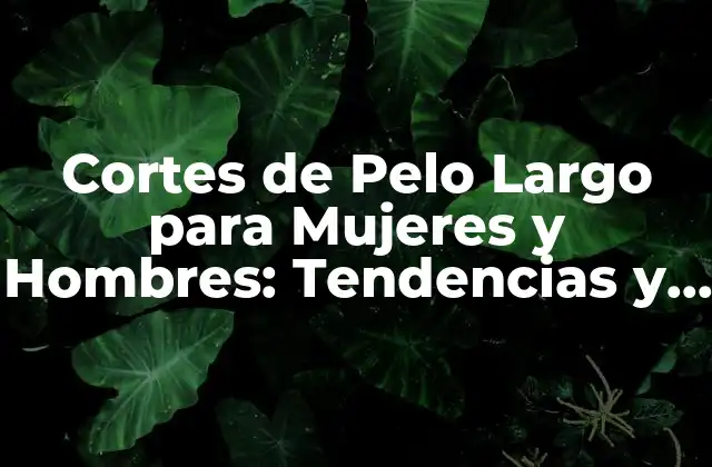 Cortes de Pelo Largo para Mujeres y Hombres: Tendencias y Estilos