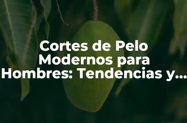 Cortes de Pelo Modernos para Hombres: Tendencias y Estilos