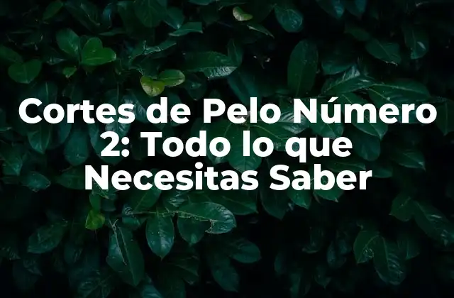 Cortes de Pelo Número 2: Todo Lo que Necesitas Saber 2 ¿Cuál es el Punto Fuerte de los Cortes de Pelo Número 2?