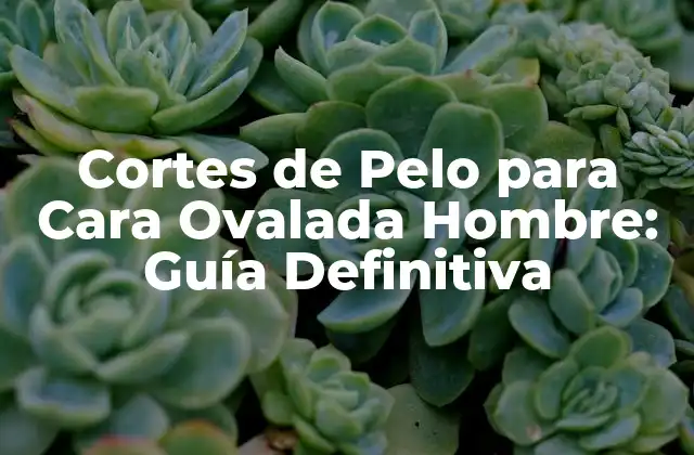 Cortes de Pelo para Cara Ovalada Hombre: Guía Definitiva
