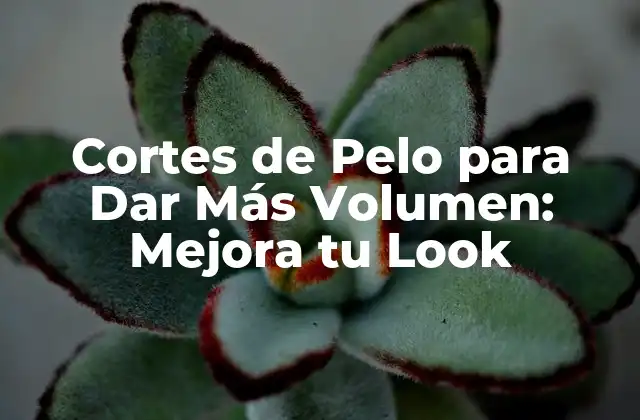 Cortes de Pelo para Dar Más Volumen: Mejora Tu Look 2 ¿Qué es lo que hace que un corte de pelo dé volumen?
