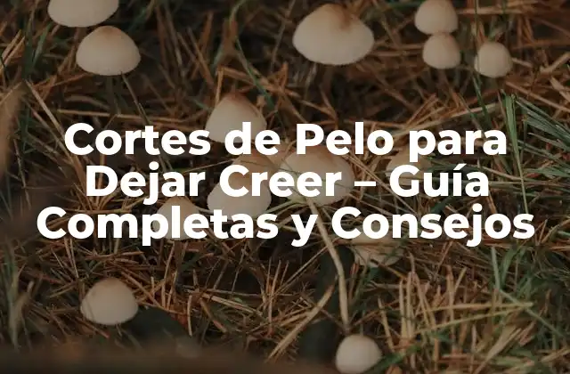 Cortes de Pelo para Dejar Creer – Guía Completas y Consejos