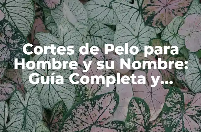 Cortes de Pelo para Hombre y Su Nombre: Guía Completa y Tendencias Actuales