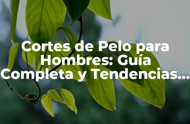 Cortes de Pelo para Hombres: Guía Completa y Tendencias 2023