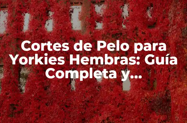 Cortes de Pelo para Yorkies Hembras: Guía Completa y Actualizada