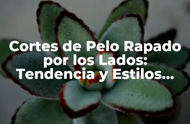 Cortes de Pelo Rapado por los Lados: Tendencia y Estilos para Hombres y Mujeres