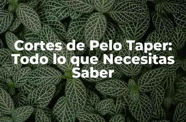 Cortes de Pelo Taper: Todo Lo que Necesitas Saber 2 ¿Qué es un Corte de Pelo Taper?