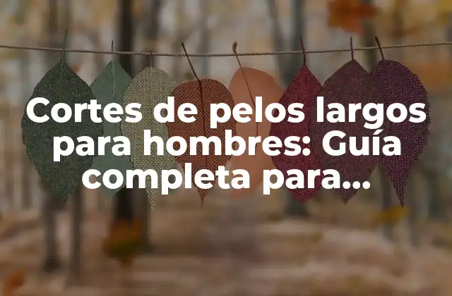 Cortes de Pelos Largos para Hombres: Guía Completa para Hombres con Cabello Largo