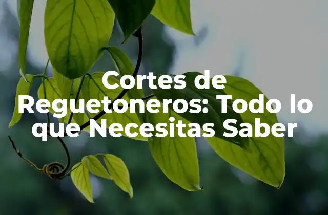 Cortes de Reguetoneros: Todo Lo que Necesitas Saber 2 ¿Qué son los Cortes de Reguetoneros?