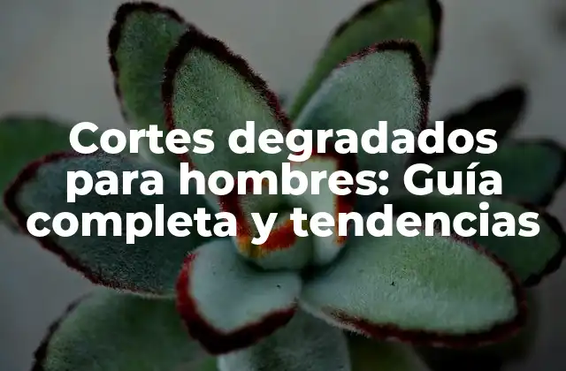 Cortes Degradados para Hombres: Guía Completa y Tendencias