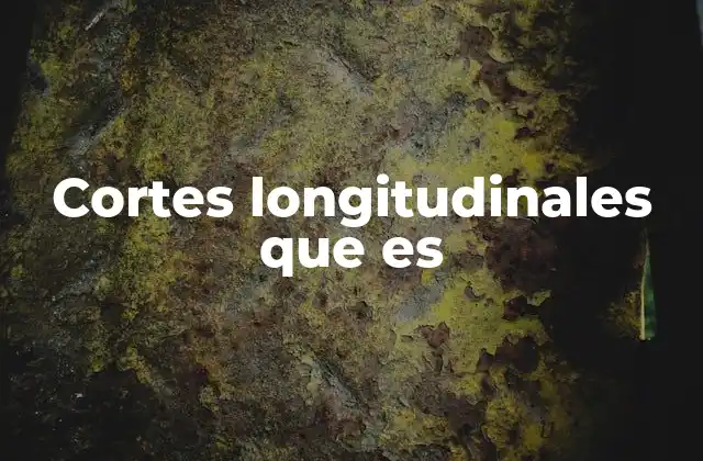 Cortes Longitudinales que es