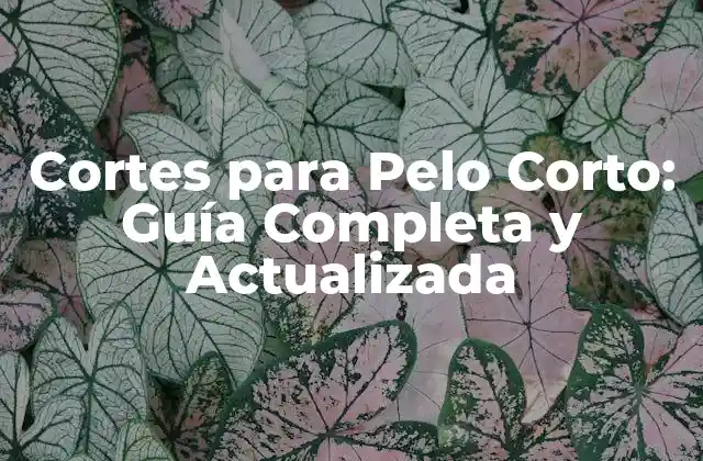 Cortes para Pelo Corto: Guía Completa y Actualizada