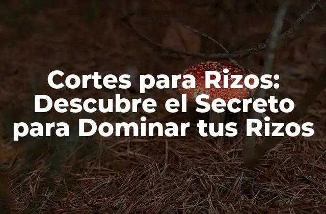Cortes para Rizos: Descubre el Secreto para Dominar Tus Rizos