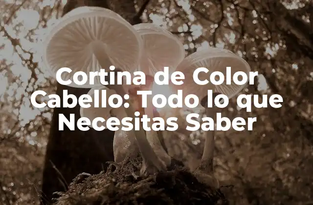 Cortina de Color Cabello: Todo Lo que Necesitas Saber