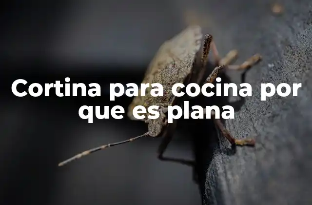 Cortina para Cocina por que es Plana