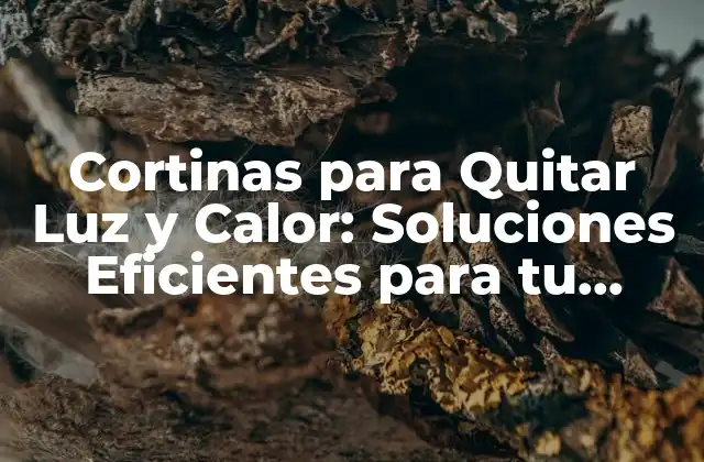 Cortinas para Quitar Luz y Calor: Soluciones Eficientes para Tu Hogar