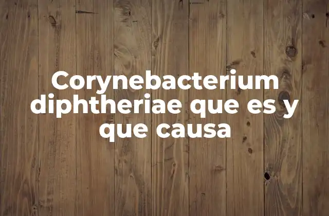 Corynebacterium Diphtheriae que es y que Causa
