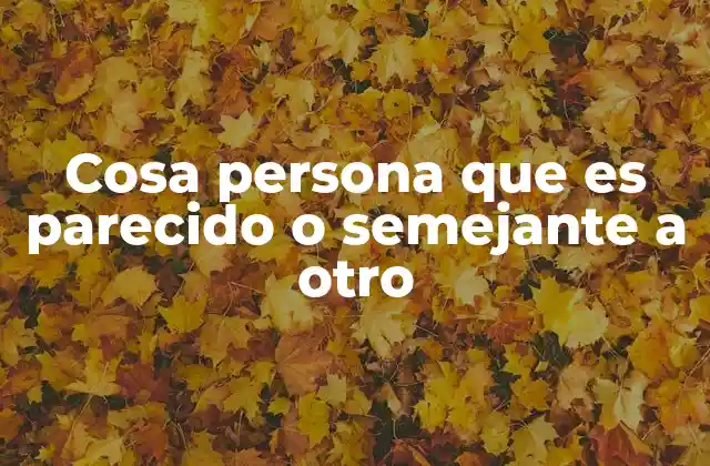 Cosa Persona que es Parecido o Semejante a Otro