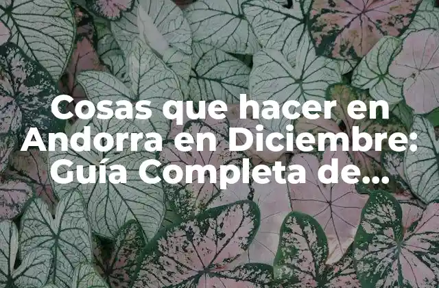 Cosas que Hacer en Andorra en Diciembre: Guía Completa de Actividades