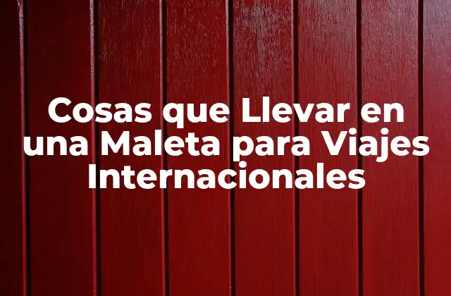 Cosas que Llevar en una Maleta para Viajes Internacionales