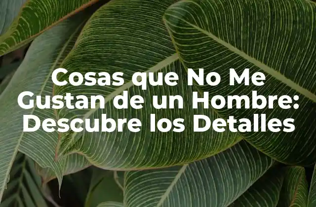 Cosas que No Me Gustan de un Hombre: Descubre los Detalles