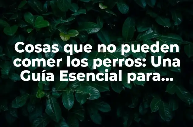 Cosas que No Pueden Comer los Perros: una Guía Esencial para Dueños de Perros