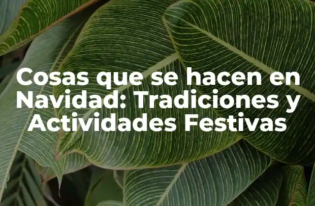 Cosas que Se Hacen en Navidad: Tradiciones y Actividades Festivas