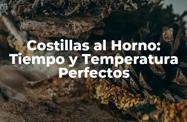 Costillas Al Horno: Tiempo y Temperatura Perfectos