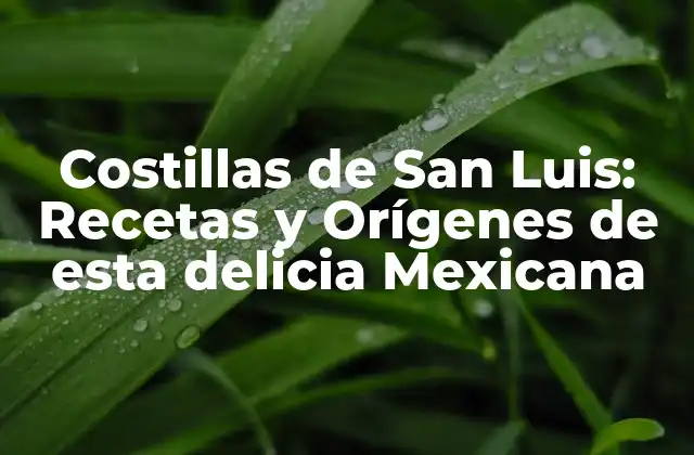 Costillas de San Luis: Recetas y Orígenes de Esta Delicia Mexicana