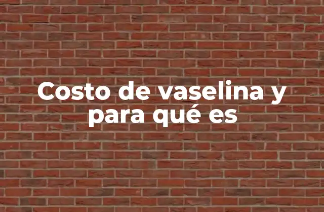 Costo de Vaselina y para Qué es
