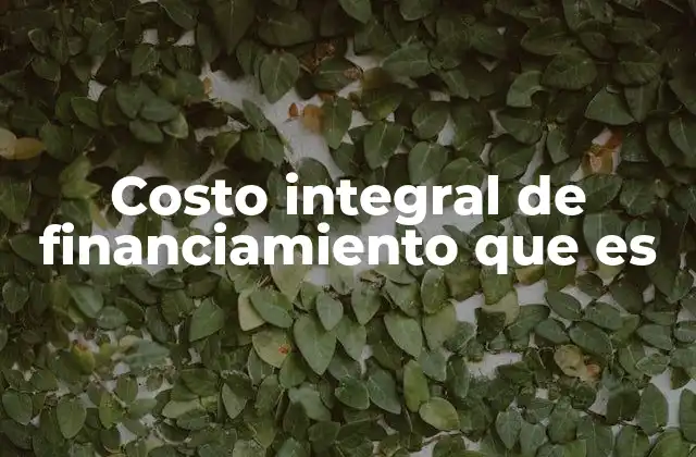 Costo Integral de Financiamiento que es