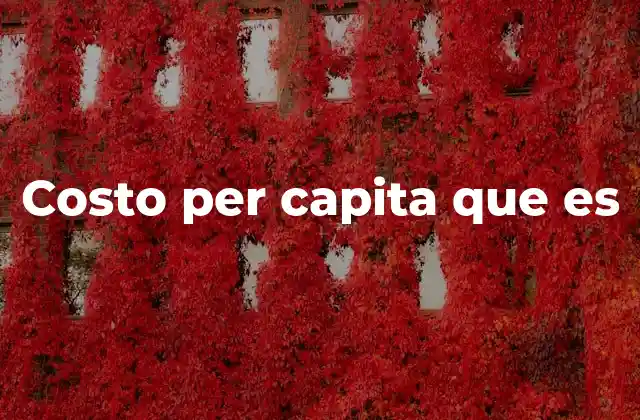 Costo Per Capita que es