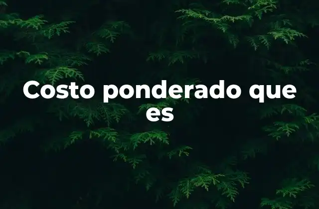 Costo Ponderado que es