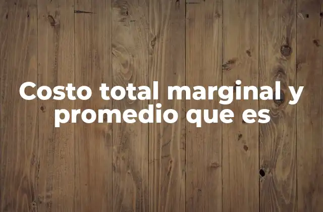 Costo Total Marginal y Promedio que es