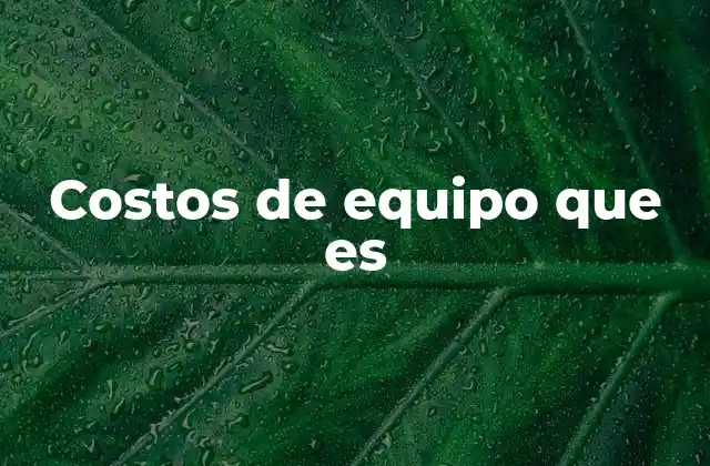 Costos de Equipo que es