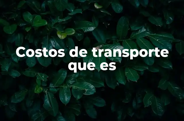 Factores que influyen en los costos de transporte
