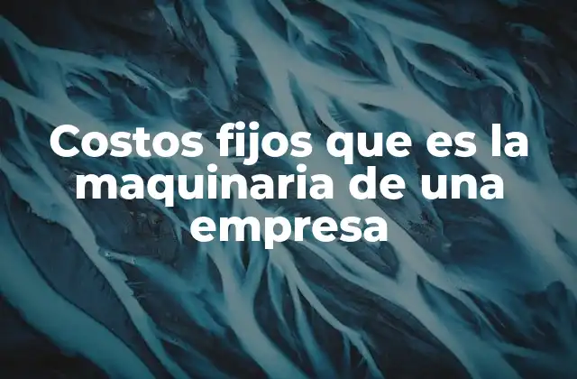 Costos Fijos que es la Maquinaria de una Empresa