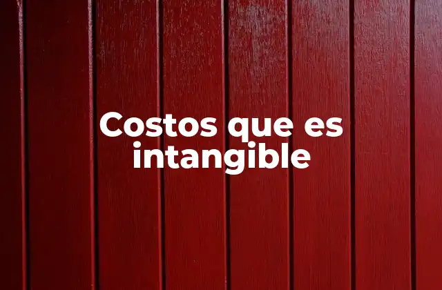 Costos que es Intangible