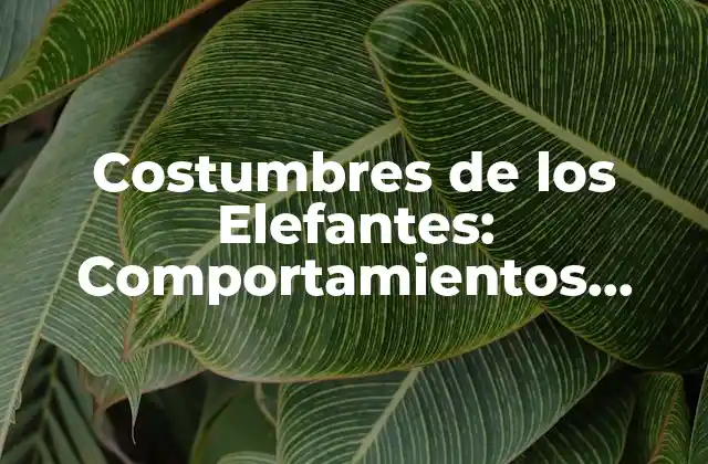 Costumbres de los Elefantes: Comportamientos Fascinantes de los Gigantes de la Naturaleza