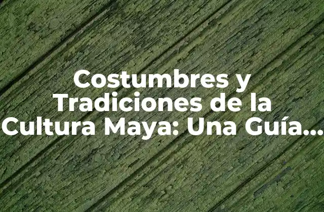 Costumbres y Tradiciones de la Cultura Maya: una Guía Completa