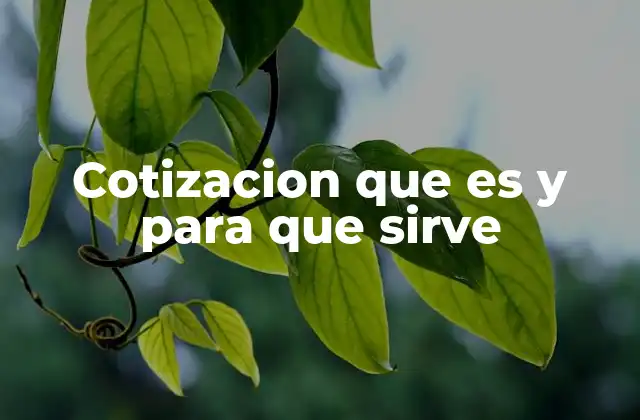 Cotizacion que es y para que Sirve 2 El papel de las cotizaciones en el proceso comercial