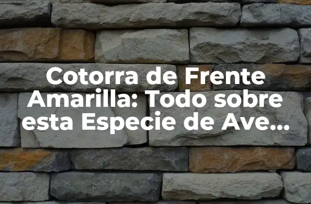 Cotorra de Frente Amarilla: Todo sobre Esta Especie de Ave Exótica