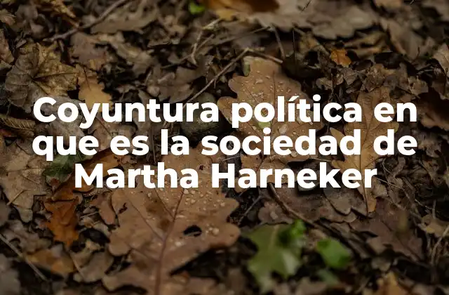 Coyuntura Política en que es la Sociedad de Martha Harneker