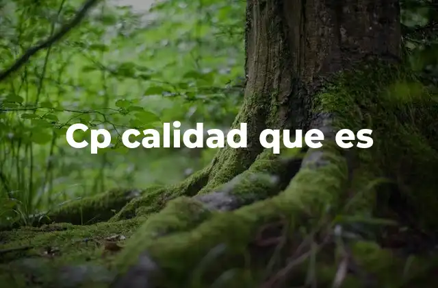 Cp Calidad que es