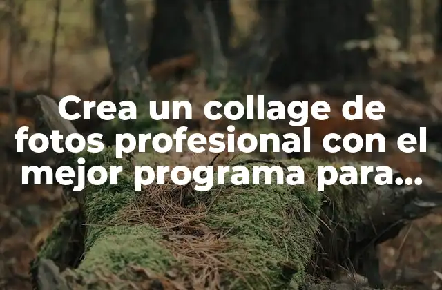 Crea un Collage de Fotos Profesional con el Mejor Programa para Hacer un Collage de Fotos