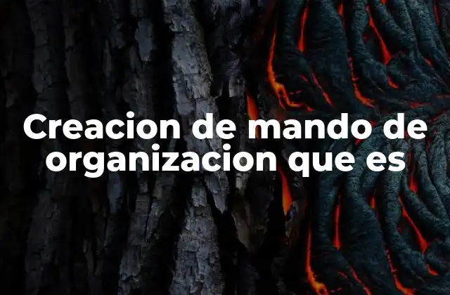 Creacion de Mando de Organizacion que es