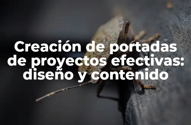 Creación de Portadas de Proyectos Efectivas: Diseño y Contenido